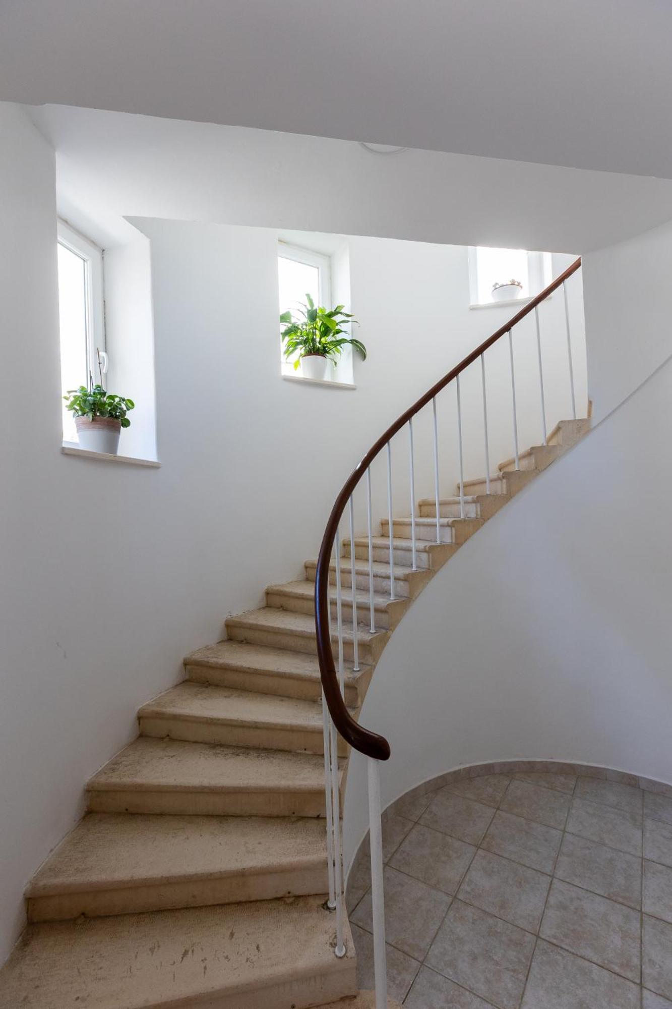 דוברובניק Apartment Flora מראה חיצוני תמונה