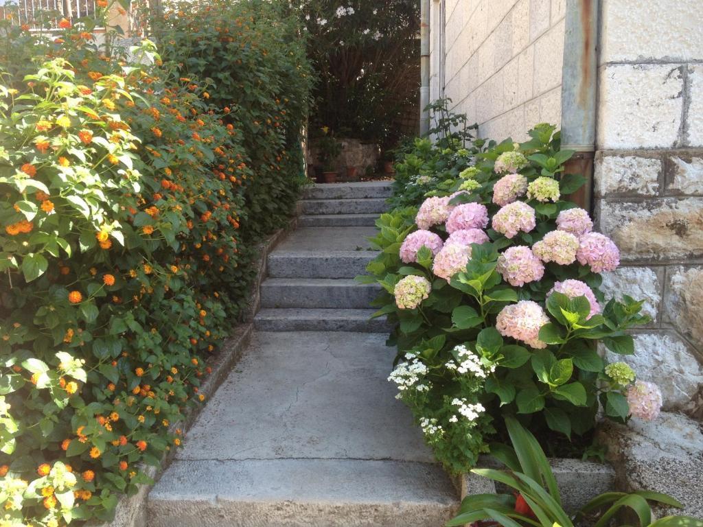 דוברובניק Apartment Flora מראה חיצוני תמונה